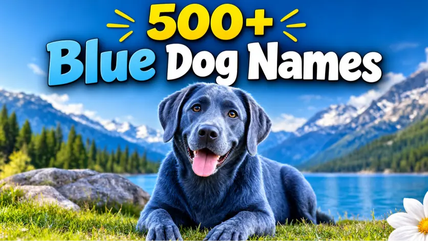Blue Dog Names