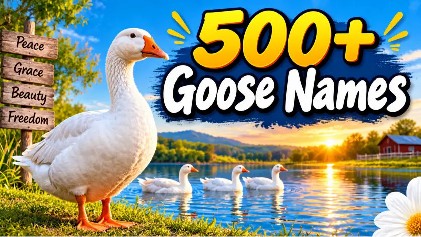 Goose Names